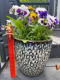 White And Brown Textured Ceramic Planter 9.5' With Pansy Flowers