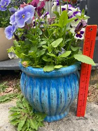 Blue Ceramic Planter 8.5' With Pansy Flowers