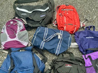 Travel Bag Lot Including Patagonia, Novara And Others