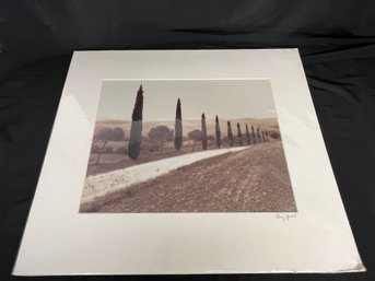 Matted Original Photograph Signed Ray Heard - Cypress Trees
