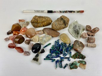 Large Lot Of Gemstones, Crystals, Fossils, And More!