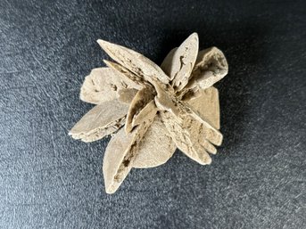 A Stunning Natural Desert Rose Crystal