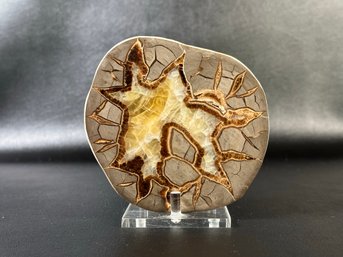 A Breathtaking Septarian Geode