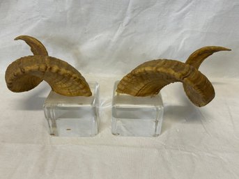 Taxidermy Ram's Horns On Beveled Lucite Bases- Mid Century Vintage