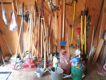 Massive Garden Tool Lot In Shed