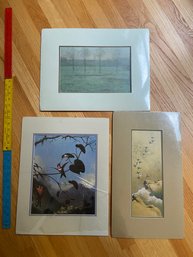 Twilight: Early Spring, Plovers Over The Tama River And The Gems Of Brazil Prints