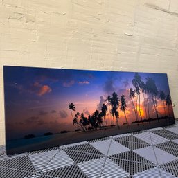 5' Photo On Canvas - Palm Parade -  By Doug Cavanah - Signed - Numbered 1/50