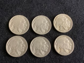 Buffalo Nickels #41