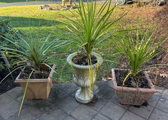 Trio Of Faux Stone Planters (plastic) With Plants