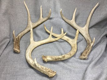 Two Fantasti Sets Of Vintage Deer Antlers - Adirondack / Cabin / Lodge Decor - Great Decorator Pieces !