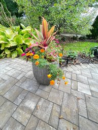 Cement Planter,