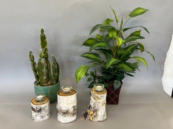 Birch Candle Holders And 2 Artificial Plants