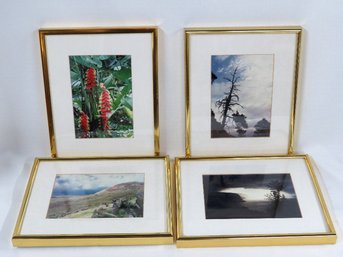 Lot Of 4 Gold Framed Landscape Photographs