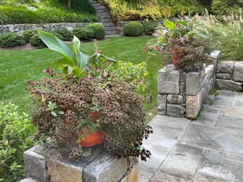 A Pair Of Planters With Live Plants