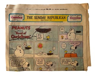 The Sunday Comics - January 1979