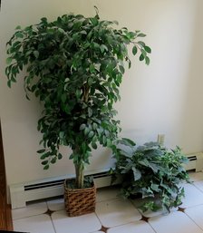 A Silk Tree And Plant Arrangement In Wicker Baskets