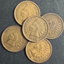 Lot Of 5 Indian Head Pennies Miscel Dates