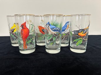 West Virginia Glass American Songbirds Tumbler Glasses - Set Of 6