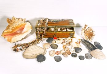 Shell Lovers, Lot 2- Necklace, Metal Treasure Chest Box, Shells Of All Shapes & Sizes And Large Conch Shell