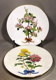 Two Antique Fine Mintons Porcelain Cabinet Botanical Plates