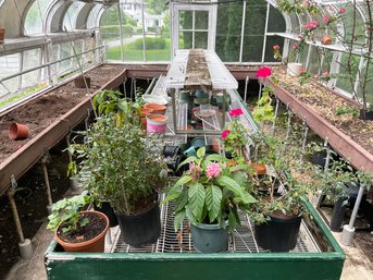 Contents Of Greenhouse - Pots And Plants