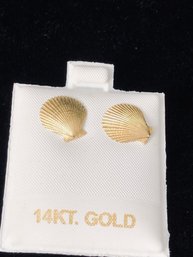 14K Yellow Gold Shell Stud Earrings