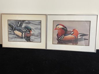 Framed Pair Of Duck Photograph Prints