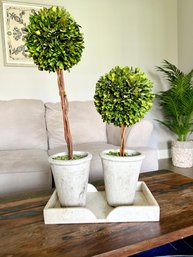 Faux Topiaries And Stone Tray