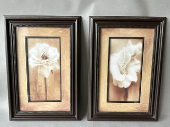 Christine Zaleweski Framed Floral Prints