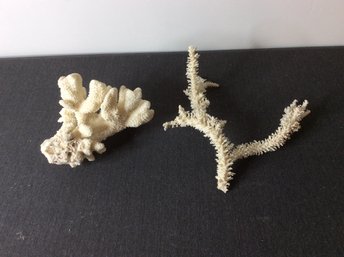 Pair Of Coral