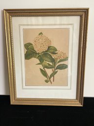 Framed Oil Painting Print Of Flowers