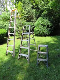 Trio Of Ladders With Werner And Cuprum Model 403