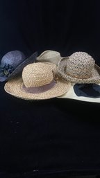 Women's Hat Lot