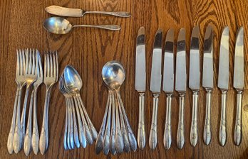 Community Plate Flatware Set