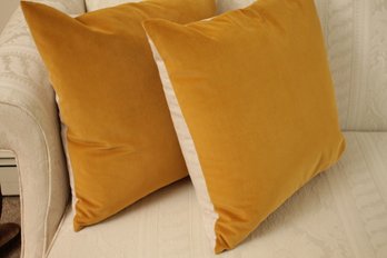 Pair Of Velvet & Linen Decorative Pillows By Millihome