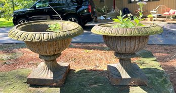 Pair Of Heavy Cast Iron Flower Planter With Beautiful Plant Inside The Planter With Flowers. Front Yard