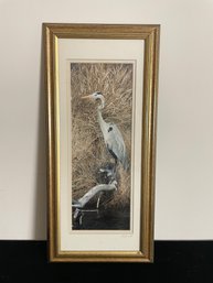 Framed Signed Full Color Photograph Print Of Bird