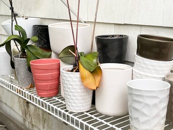 An Assortment Of Pots - Breezeway