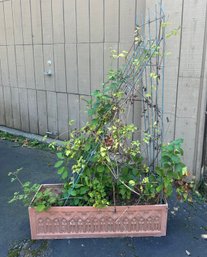 Nixed Designed Planter With Two Metal Supporter Inside It For Growing Plants. Back Yard