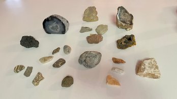 Curated Collection Of Rocks, Petrified Wood And Minerals From Israel & Europe