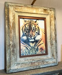 A Tiger Photograph IN Rustic Wood Frame