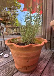 Outdoor Planter Pot With Plant Inside It. Deck