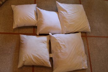 5 Throw Pillow Forms 16 And 23 Inch