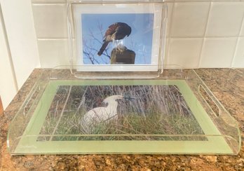 A Pair Of Lucite Trays With Photos Of Birds