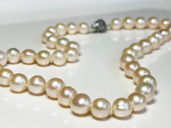 A Vintage Pearl Necklace