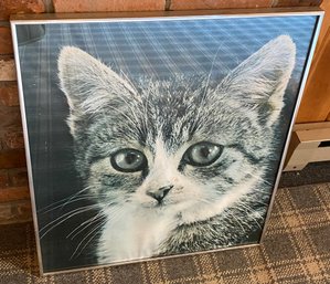 Kitten Poster