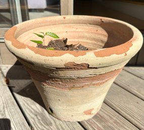 Vintage Outdoor Very Big Plater Pot With Small Tree Growing In It. Deck