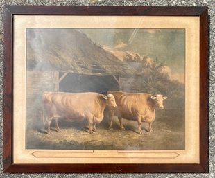 Early 19th C Mezzotint By J. Barenger, Durham Twin Steers