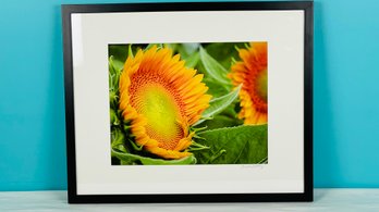 Photo Of Sunflower - Artist Signed