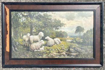 Vintage Color Print Of Sheep